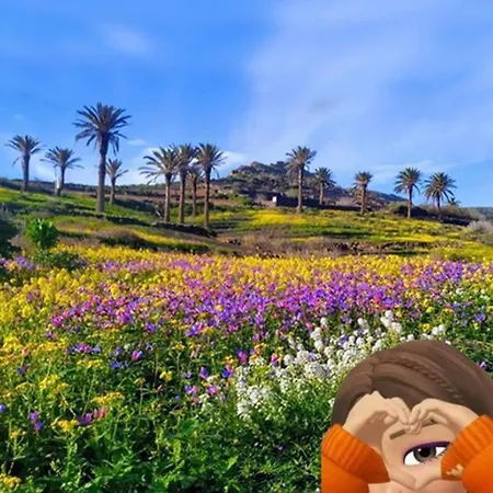 아파트 Casa Diana *